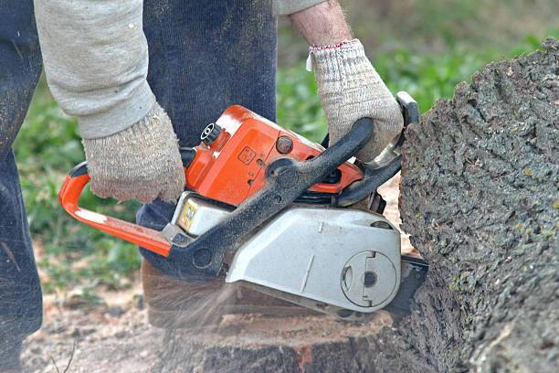  Goldens Bridge, NY Tree Services Pros