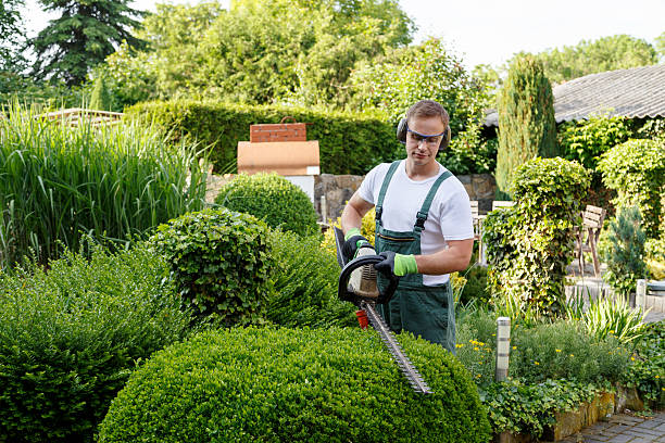 Lawn Drainage Solutions in Goldens Bridge, NY